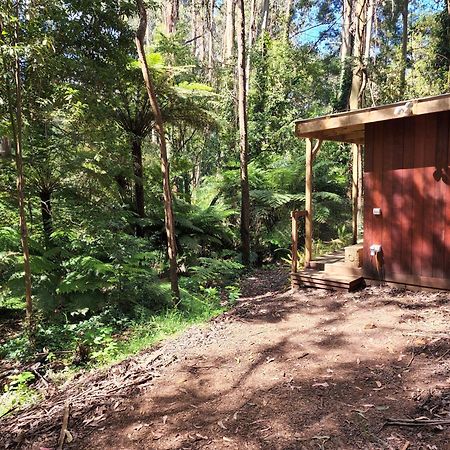 The Fernglen Forest Retreat Mount Dandenong Bagian luar foto