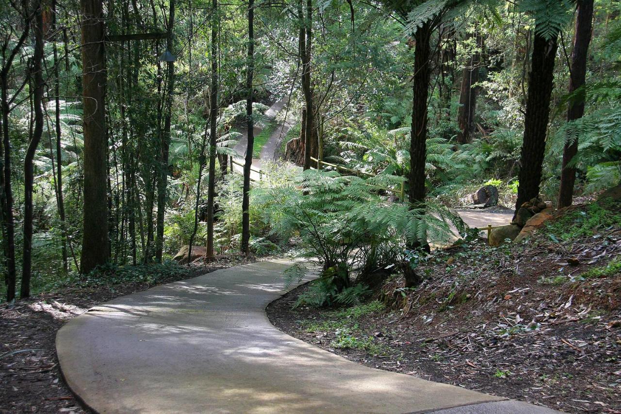 The Fernglen Forest Retreat Mount Dandenong Bagian luar foto