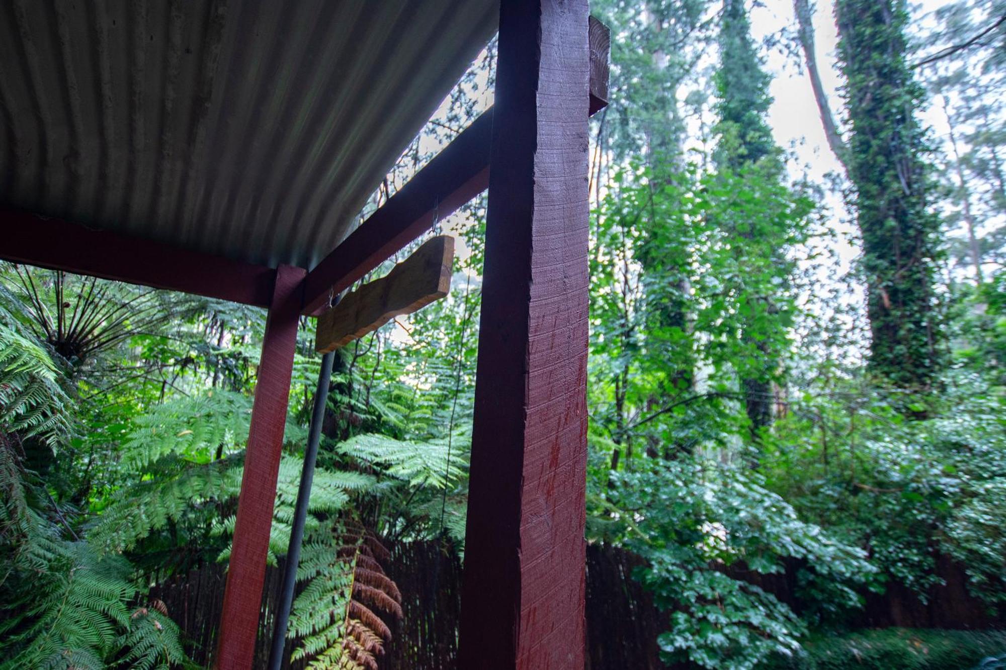 The Fernglen Forest Retreat Mount Dandenong Bagian luar foto