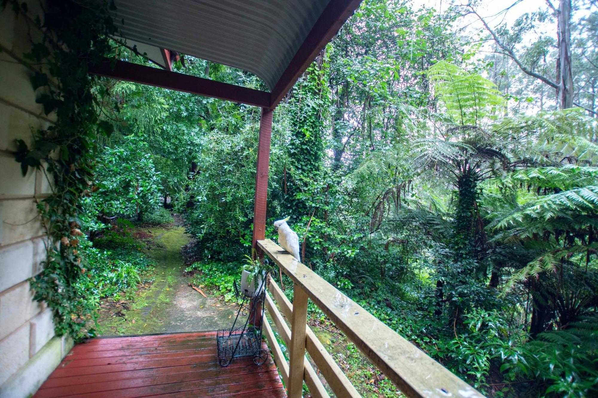 The Fernglen Forest Retreat Mount Dandenong Bagian luar foto