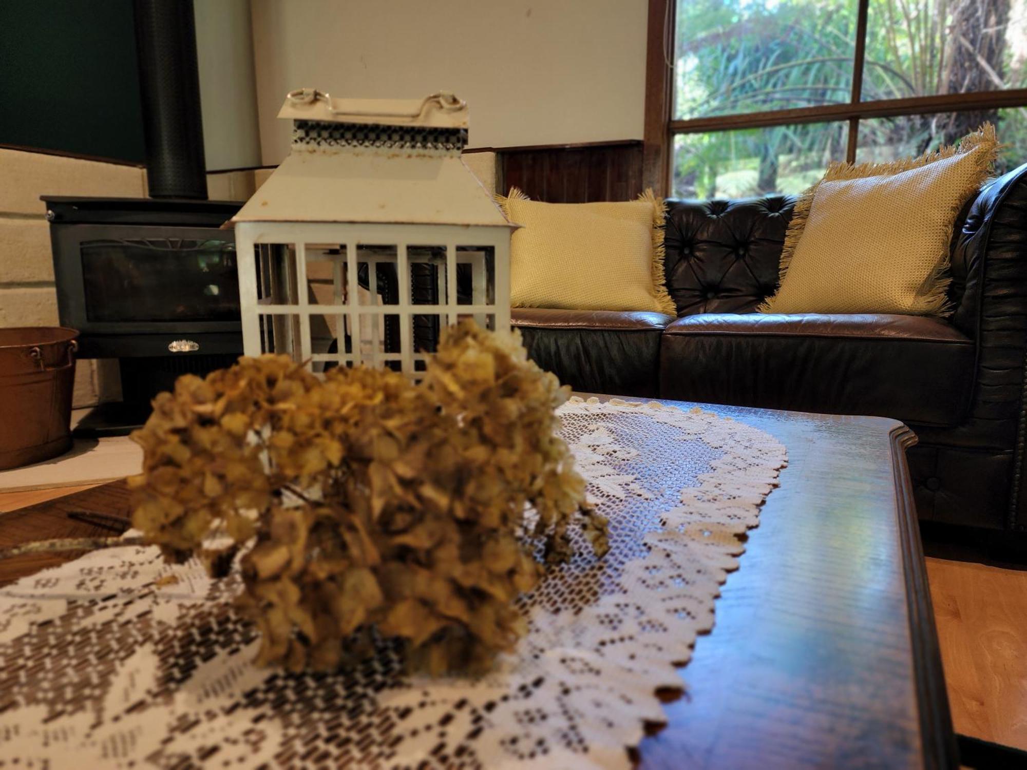 The Fernglen Forest Retreat Mount Dandenong Bagian luar foto
