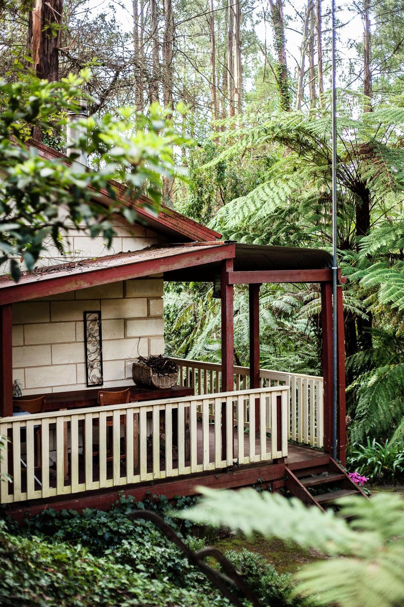 The Fernglen Forest Retreat Mount Dandenong Bagian luar foto