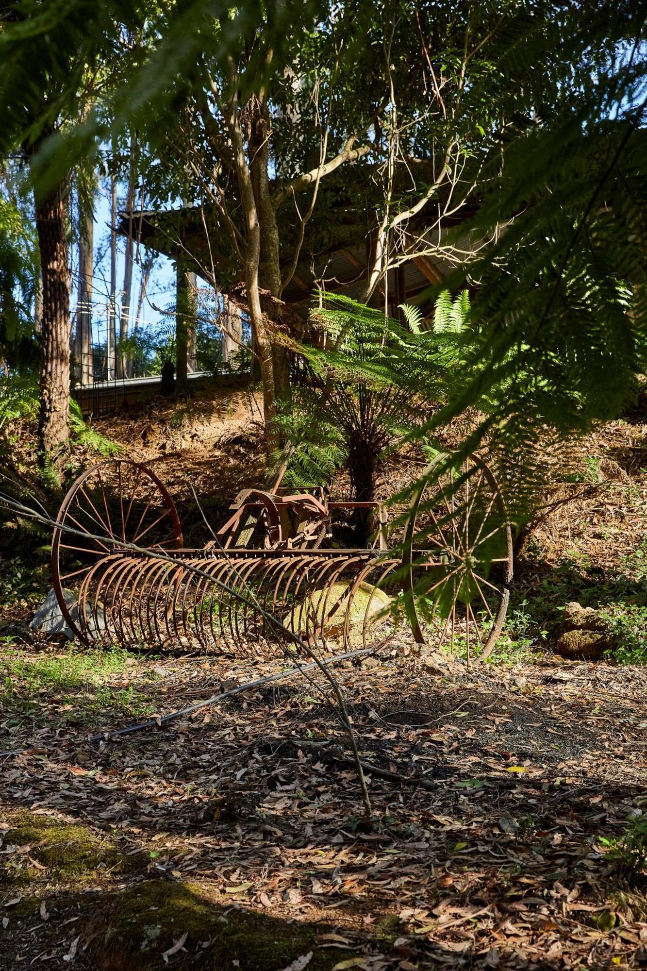 The Fernglen Forest Retreat Mount Dandenong Bagian luar foto