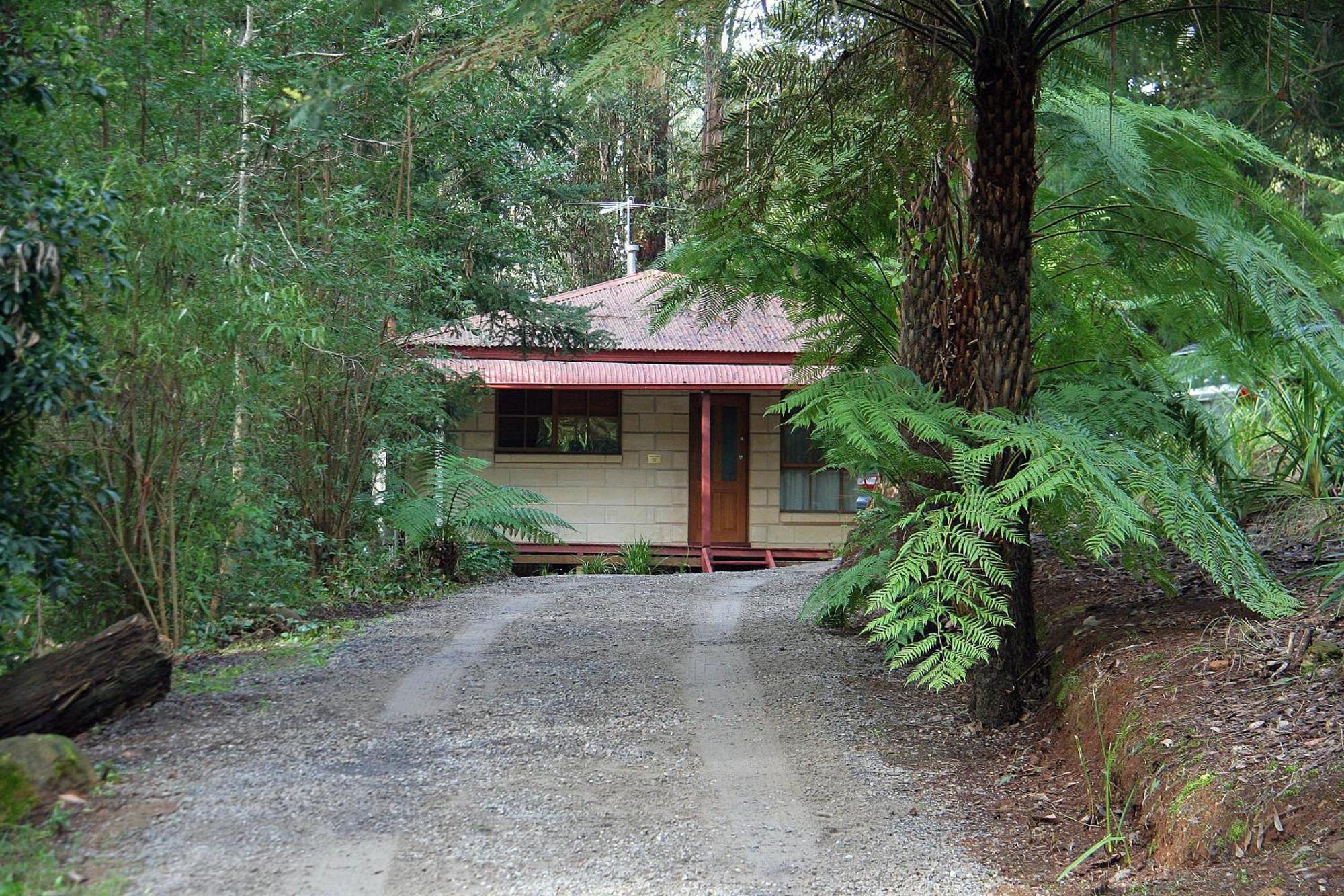 The Fernglen Forest Retreat Mount Dandenong Bagian luar foto