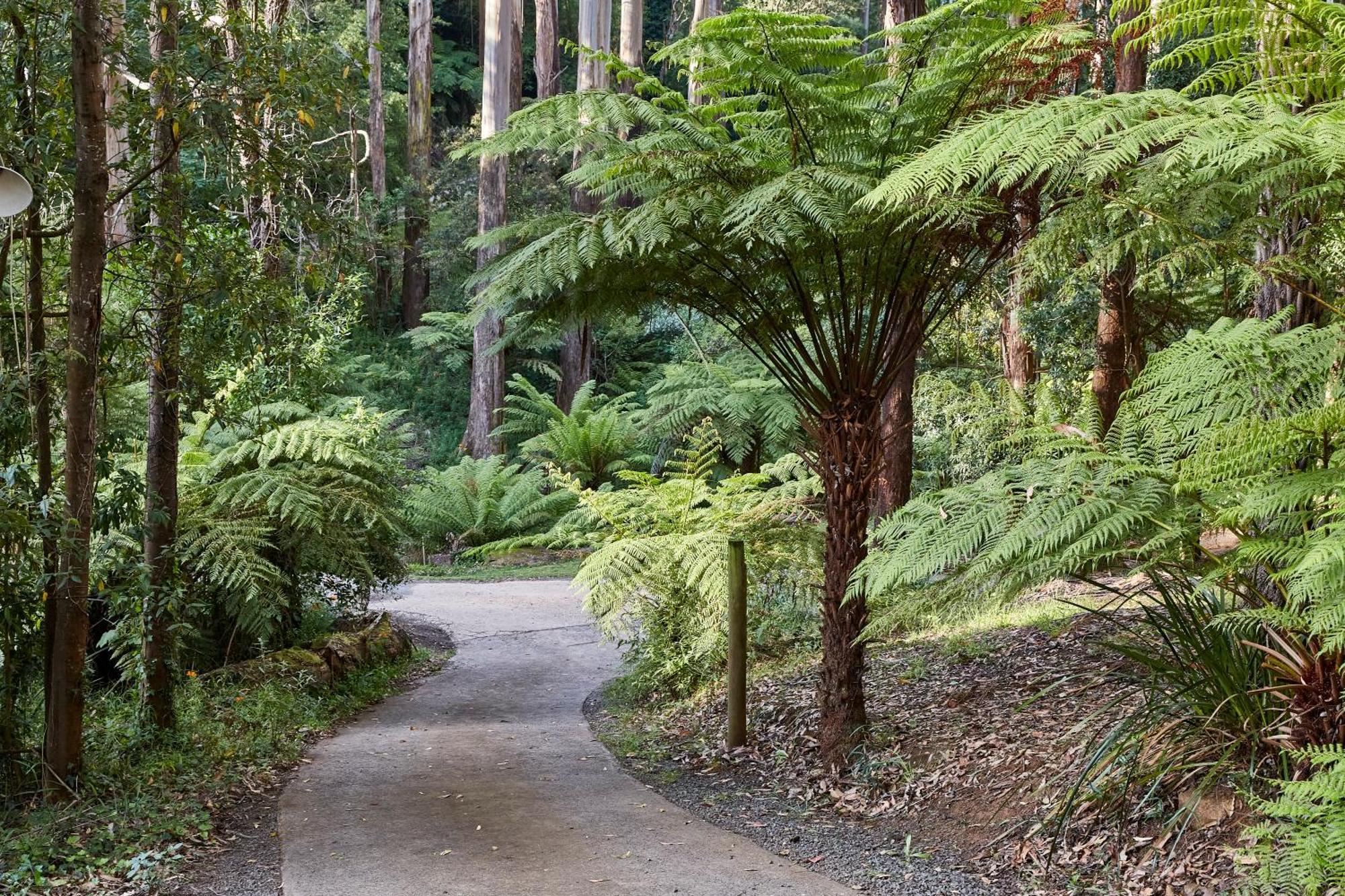 The Fernglen Forest Retreat Mount Dandenong Bagian luar foto