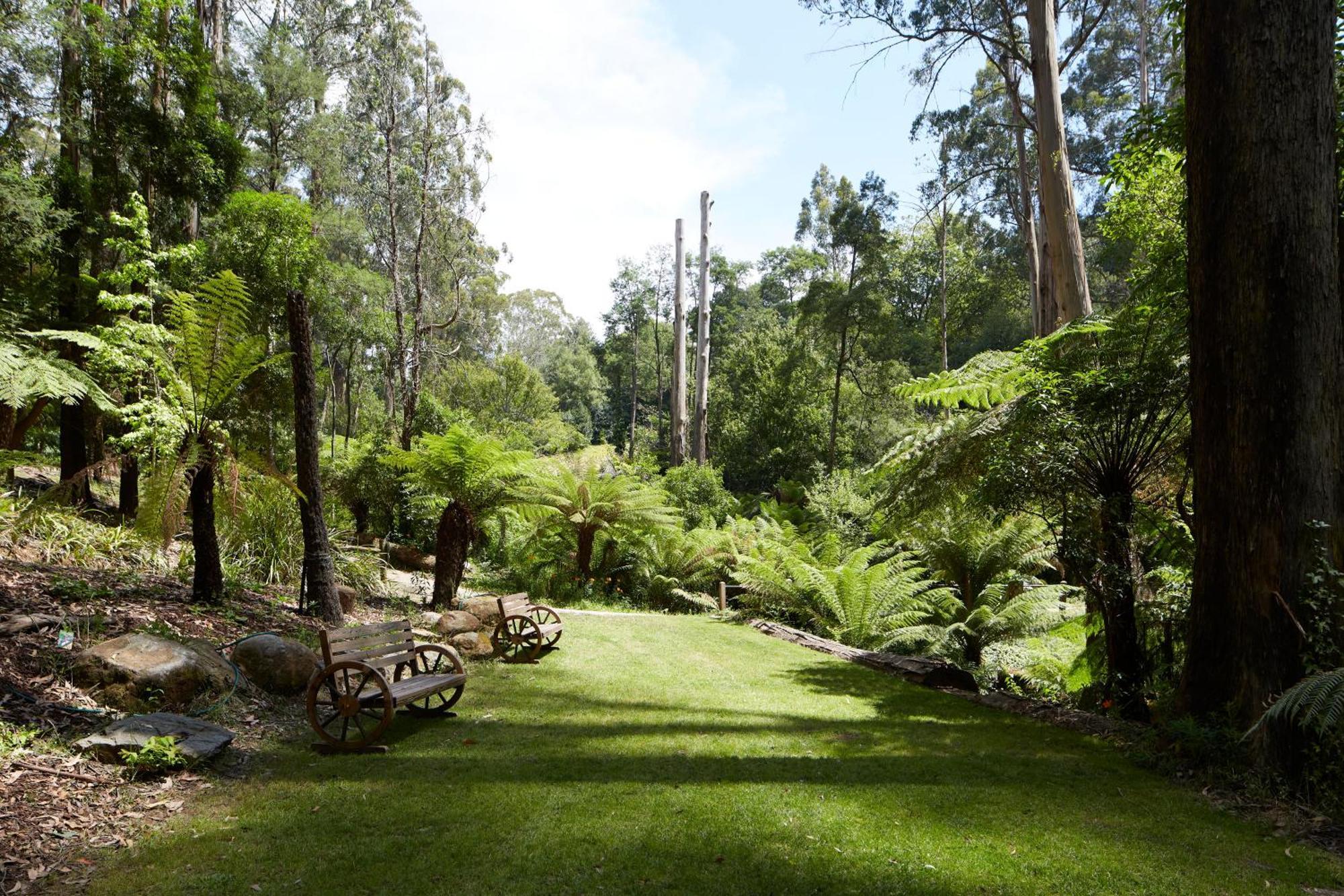 The Fernglen Forest Retreat Mount Dandenong Bagian luar foto