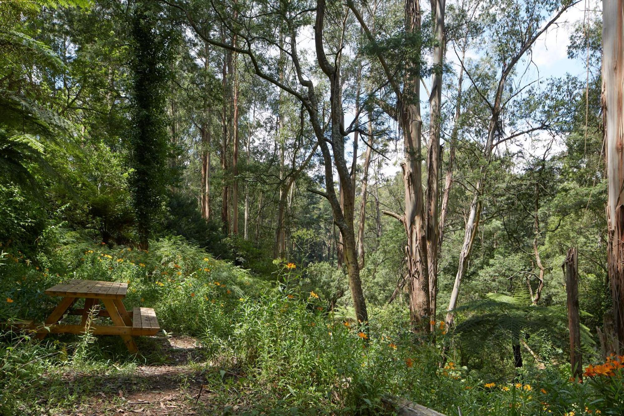 The Fernglen Forest Retreat Mount Dandenong Bagian luar foto