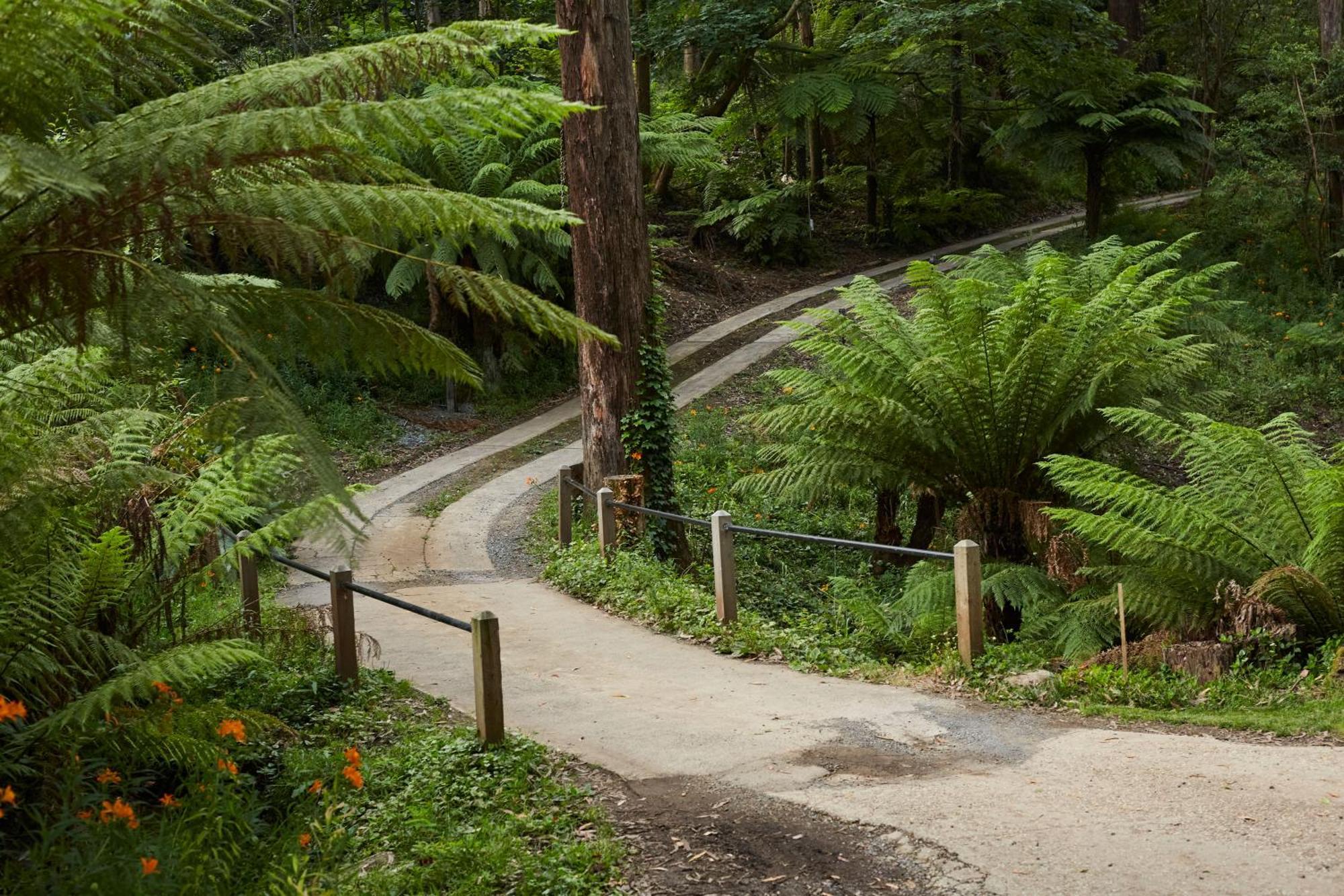 The Fernglen Forest Retreat Mount Dandenong Bagian luar foto