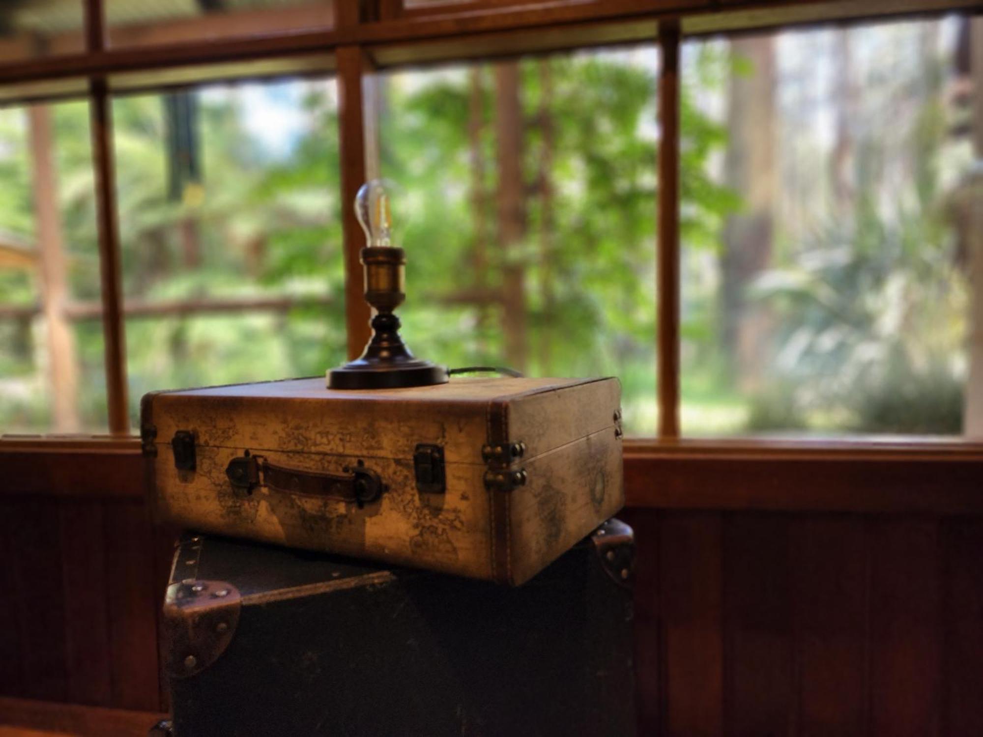 The Fernglen Forest Retreat Mount Dandenong Bagian luar foto