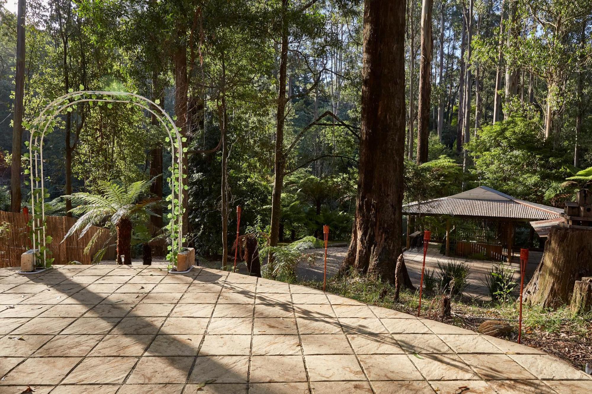 The Fernglen Forest Retreat Mount Dandenong Bagian luar foto